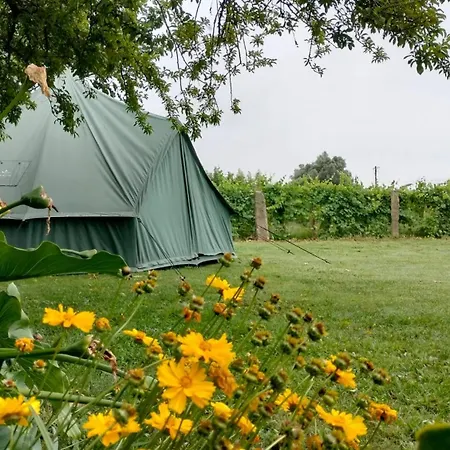 Quinta Da Teimosa Monção