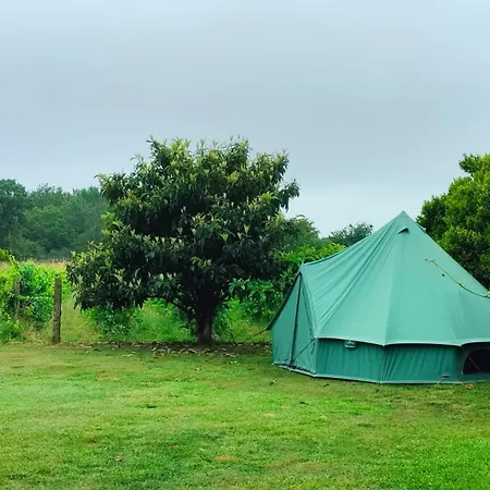 Κατάλυμα σε φάρμα Quinta Da Teimosa