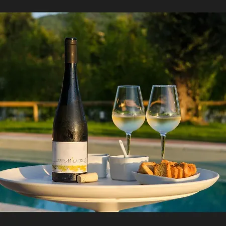 Quinta Da Teimosa