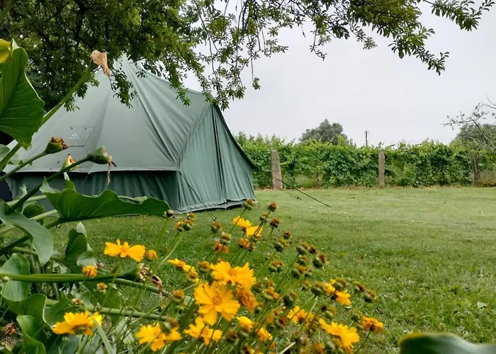 Quinta Da Teimosa Monção